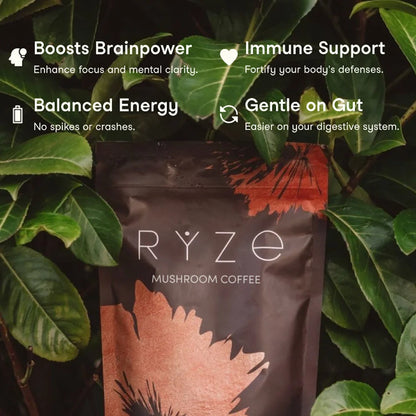 Mushroom Coffee Superfood (30 Servings)