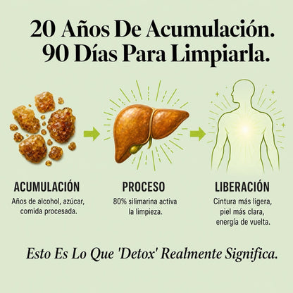 Cardo Mariano Detox Hepático — Fórmula con 80% de Silimarina