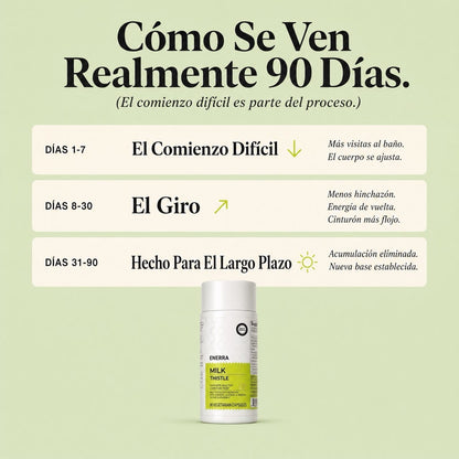 Cardo Mariano Detox Hepático — Fórmula con 80% de Silimarina